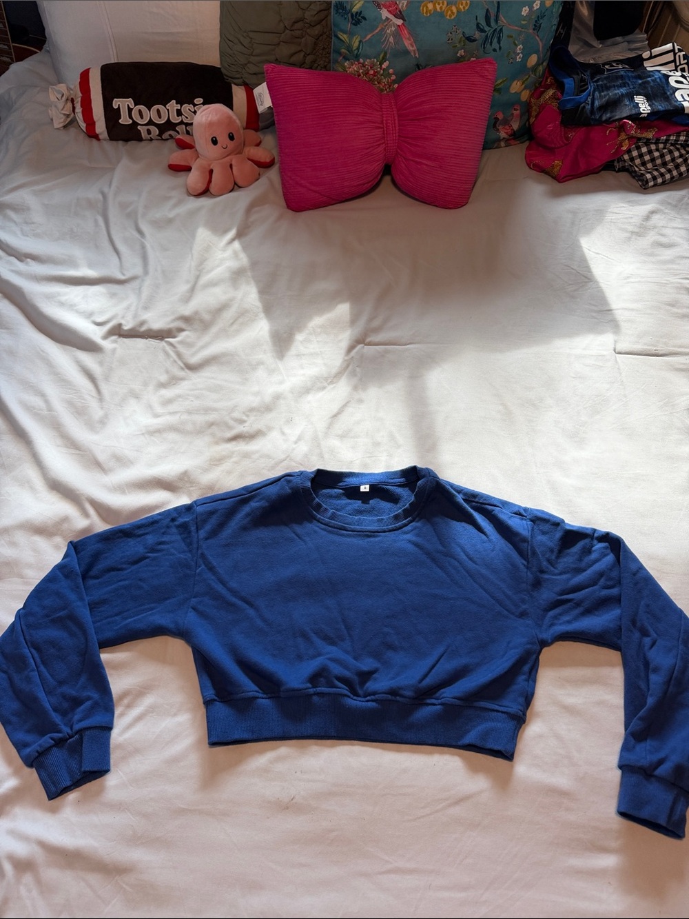 Cropped Crewneck Sweatshirt - Blue